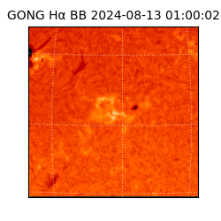 gong - 2024-08-13T01:00:02