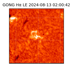 gong - 2024-08-13T02:00:42