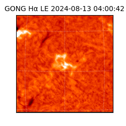 gong - 2024-08-13T04:00:42
