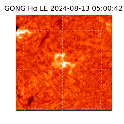 gong - 2024-08-13T05:00:42