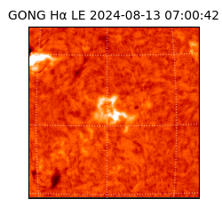 gong - 2024-08-13T07:00:42