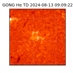 gong - 2024-08-13T09:09:22