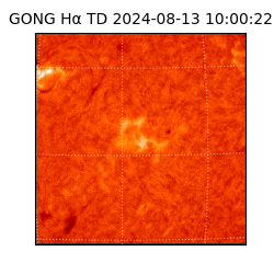 gong - 2024-08-13T10:00:22