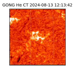 gong - 2024-08-13T12:13:42