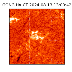 gong - 2024-08-13T13:00:42