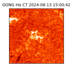 gong - 2024-08-13T15:00:42