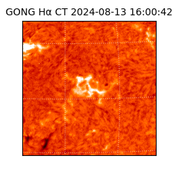 gong - 2024-08-13T16:00:42