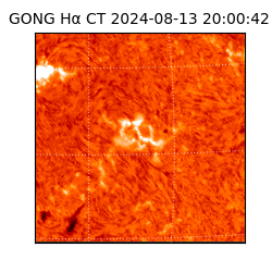 gong - 2024-08-13T20:00:42