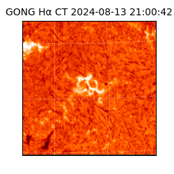 gong - 2024-08-13T21:00:42