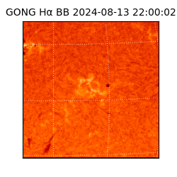 gong - 2024-08-13T22:00:02