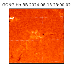 gong - 2024-08-13T23:00:02