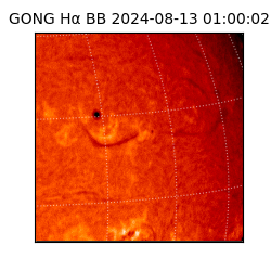 gong - 2024-08-13T01:00:02