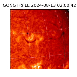 gong - 2024-08-13T02:00:42