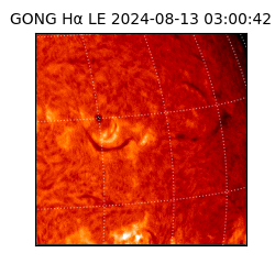 gong - 2024-08-13T03:00:42
