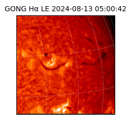 gong - 2024-08-13T05:00:42