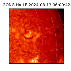 gong - 2024-08-13T06:00:42