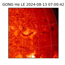 gong - 2024-08-13T07:00:42