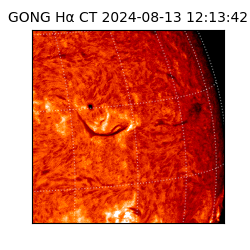 gong - 2024-08-13T12:13:42