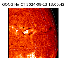 gong - 2024-08-13T13:00:42