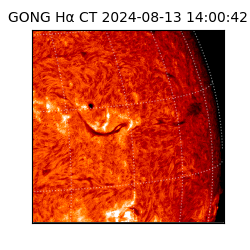 gong - 2024-08-13T14:00:42