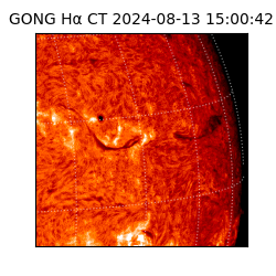 gong - 2024-08-13T15:00:42