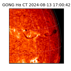 gong - 2024-08-13T17:00:42