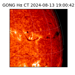 gong - 2024-08-13T19:00:42