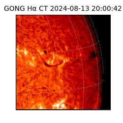 gong - 2024-08-13T20:00:42