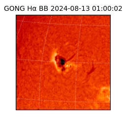 gong - 2024-08-13T01:00:02
