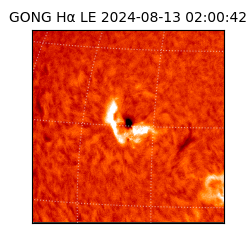 gong - 2024-08-13T02:00:42