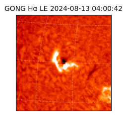 gong - 2024-08-13T04:00:42