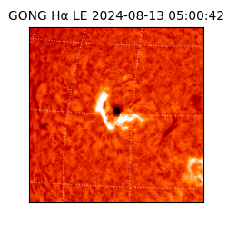gong - 2024-08-13T05:00:42