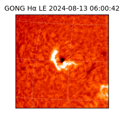 gong - 2024-08-13T06:00:42