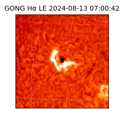 gong - 2024-08-13T07:00:42