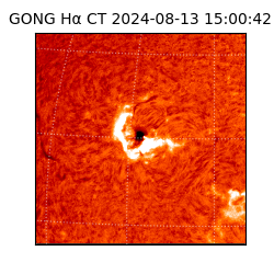 gong - 2024-08-13T15:00:42