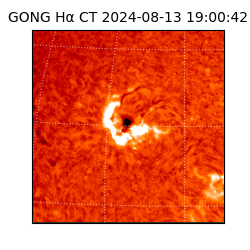 gong - 2024-08-13T19:00:42