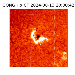 gong - 2024-08-13T20:00:42