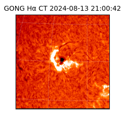 gong - 2024-08-13T21:00:42
