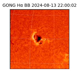 gong - 2024-08-13T22:00:02