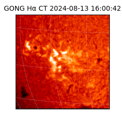 gong - 2024-08-13T16:00:42