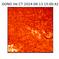 gong - 2024-08-13T15:00:42