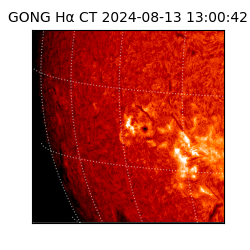 gong - 2024-08-13T13:00:42