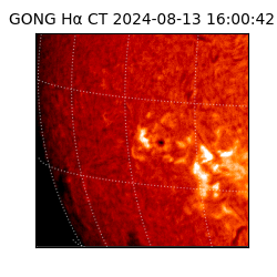 gong - 2024-08-13T16:00:42