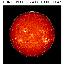 gong - 2024-08-13T06:00:42