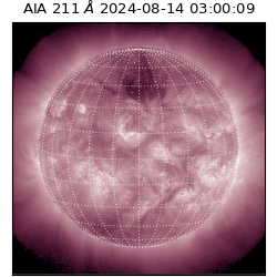 saia - 2024-08-14T03:00:09.626000