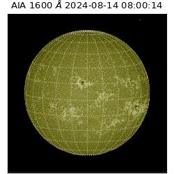 saia - 2024-08-14T08:00:14.129000