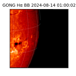 gong - 2024-08-14T01:00:02
