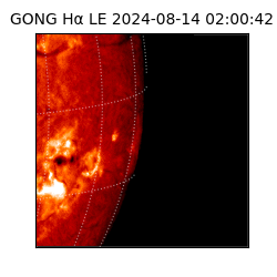 gong - 2024-08-14T02:00:42