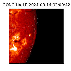 gong - 2024-08-14T03:00:42