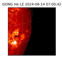 gong - 2024-08-14T07:00:42